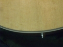 Gibson Closeups (8817)