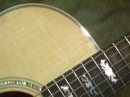 Gibson Closeups (8847)
