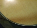 Gibson Closeups (8843)