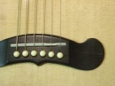 Gibson Closeups (8886)