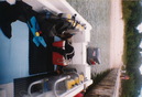 Cozumel Diving (271999)
