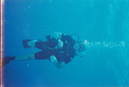 Cozumel Diving (271887)
