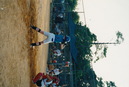 Kim Softball (283265)