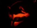 Pumpkin Carving 2006 (9142)