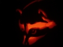 Pumpkin Carving 2006 (9154)