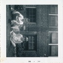 Old Family Photos (290255)