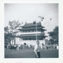 Old Family Photos (290020)