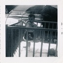 Old Family Photos (290297)