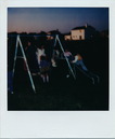 Polaroid Collection (290456)