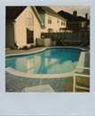 Polaroid Collection (290491)