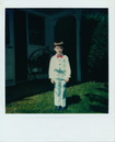 Polaroid Collection (290486)