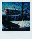 Polaroid Collection (290483)