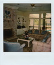 Polaroid Collection (290438)
