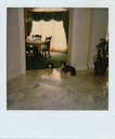 Polaroid Collection (290401)