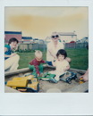 Polaroid Collection (290414)