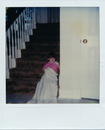 Polaroid Collection (290420)