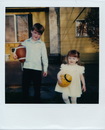 Polaroid Collection (290492)