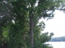 Panoramic of the Delaware River (10441)