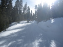 Snowmobiling Winter Park (300920)