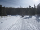 Snowmobiling Winter Park (300891)