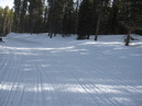 Snowmobiling Winter Park (300908)