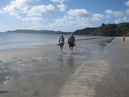 Waiheke Island (303500)