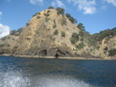 Waiheke Fishing Trip (303533)