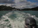 Waiheke Fishing Trip (303561)