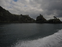 Waiheke Fishing Trip (303527)