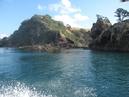 Waiheke Fishing Trip (303504)
