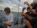 Waiheke Fishing Trip (303573)