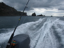 Waiheke Fishing Trip (303577)