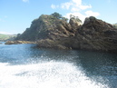 Waiheke Fishing Trip (303530)