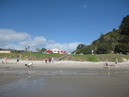 Waiheke Island (303495)