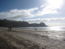 Waiheke Island (303733)