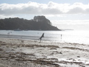 Waiheke Island (303723)