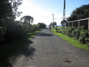 Waiheke Island (303699)