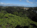 Waiheke Island (303739)