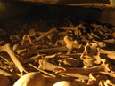 Catacombes de Paris (307016)