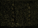 Catacombes de Paris (306989)