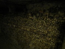 Catacombes de Paris (306936)