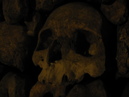 Catacombes de Paris (306976)