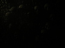 Catacombes de Paris (306964)