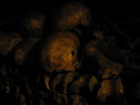 Catacombes de Paris (306965)