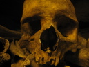 Catacombes de Paris (306945)