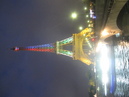 The Eiffel Tower (306882)