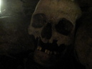 Catacombes de Paris (306957)