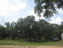 The Kelley Ranch (310149)