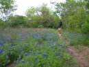 Axel Lane Bluebonnets