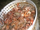 Putt's Crawfish Boil 2007 (11475)